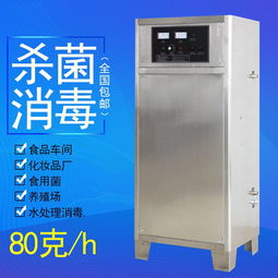 安徽食品車(chē)間臭氧消毒機(jī)在罐頭瓶蓋包材與生產(chǎn)用水消毒的應(yīng)用及銷售概述
