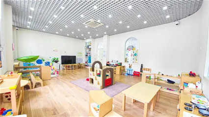 聚焦0-3歲嬰幼兒照護(hù)服務(wù)，共筑科學(xué)育兒新生態(tài)——上海研討會(huì)圓滿召開(kāi)